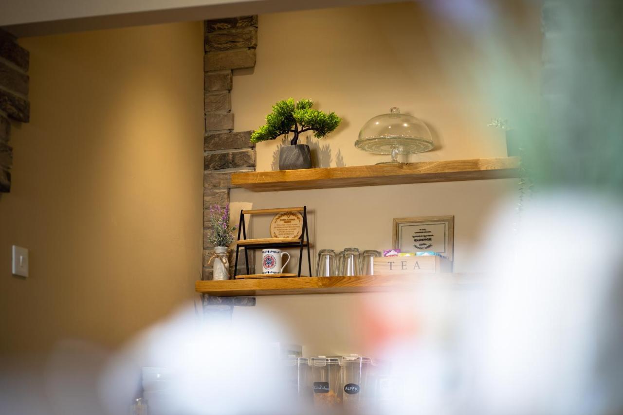 Sleepy Puffin Guest House Tenby Extérieur photo