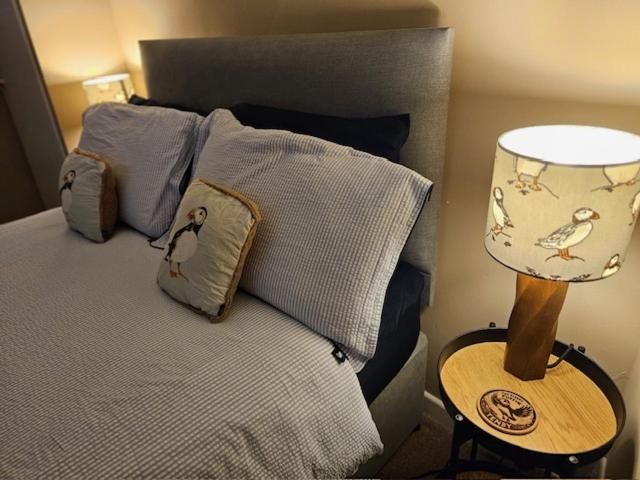 Sleepy Puffin Guest House Tenby Extérieur photo